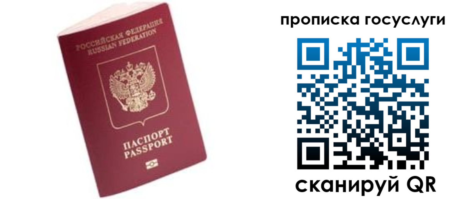 прописка в Гвардейске